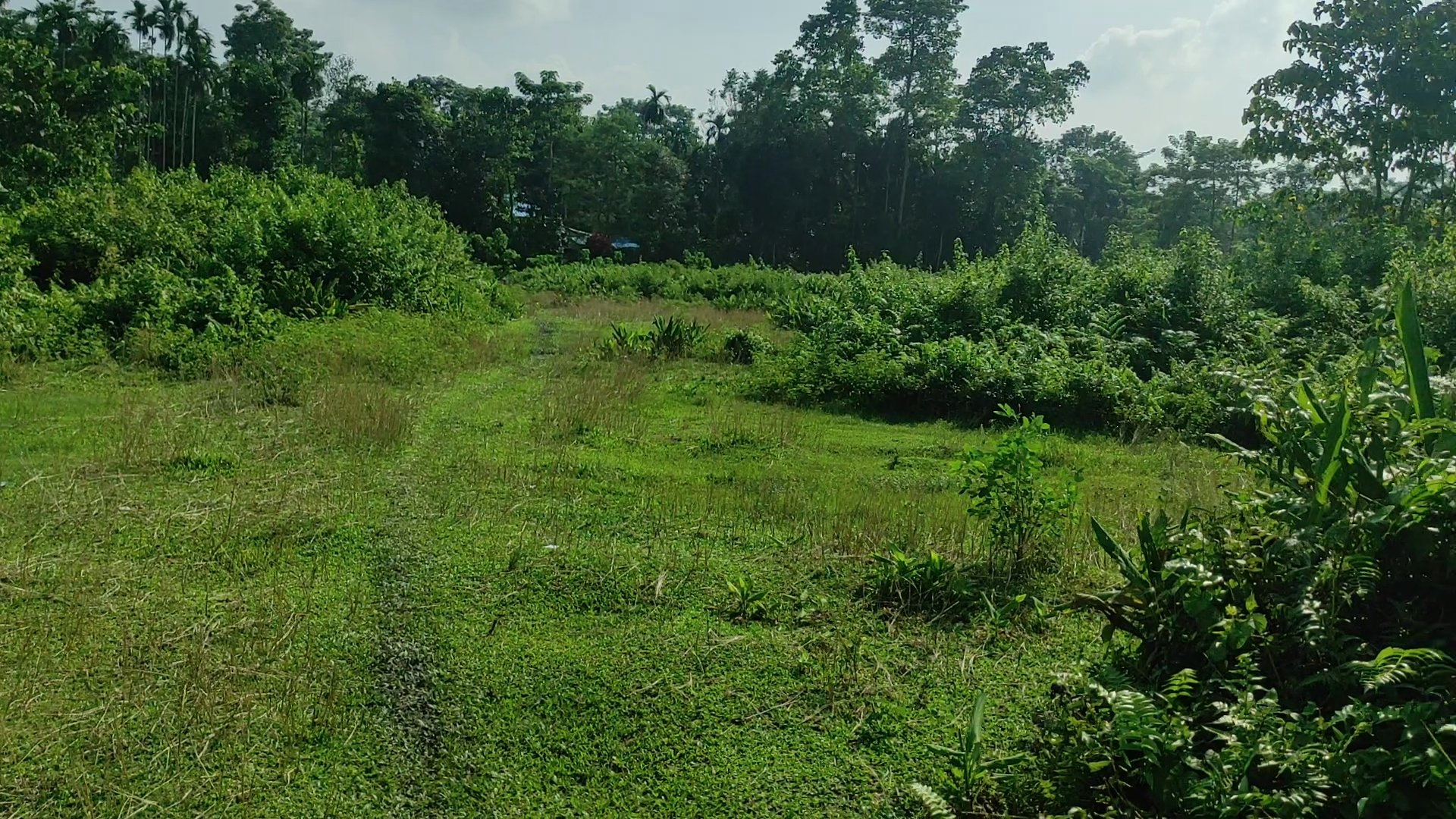 jaldapara plot 3