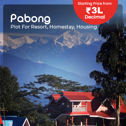 pabong